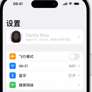 水磨沟appleID维修服务iPhone设置中Apple ID显示为灰色无法使用 