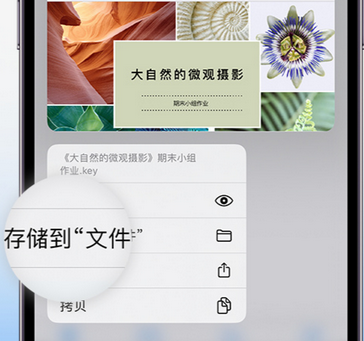 水磨沟apple维修中心分享iPhone文件应用中存储和找到下载文件