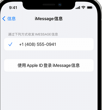 水磨沟apple维修iPhone上无法正常发送iMessage信息