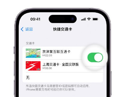 水磨沟apple维修点分享iPhone上更换Apple Pay快捷交通卡手绘卡面 